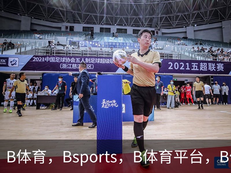 B体育，Bsports，B体育平台，B体育下载概况